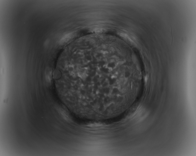 X0000086920503200704161406