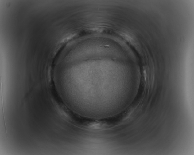 X0000086920504200704161406