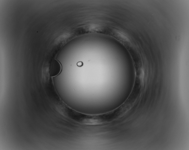 X0000086920506200704161406