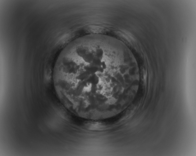 X0000086920507200704161406