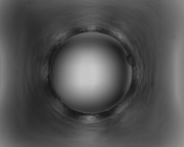 X0000086920509200704161405