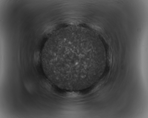 X0000086920511200704161405