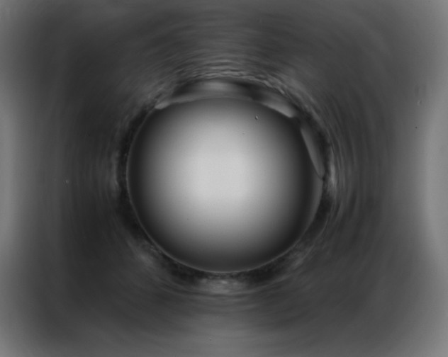 X0000086920512200704161405