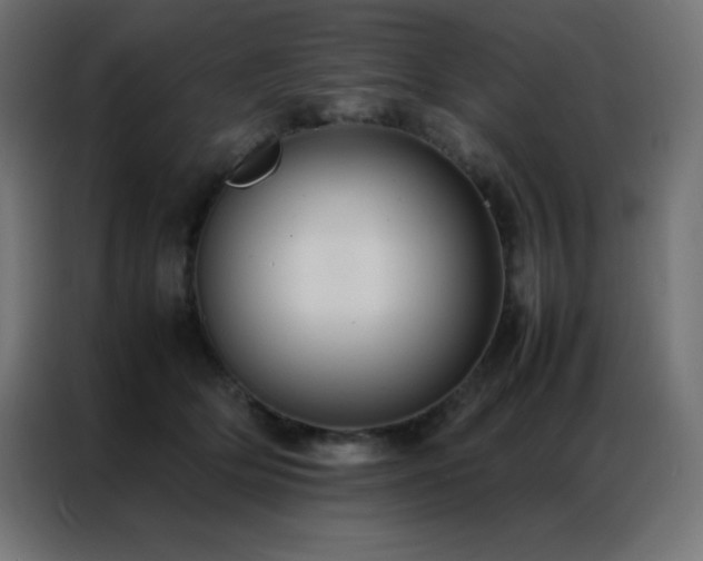X0000086920514200704161405