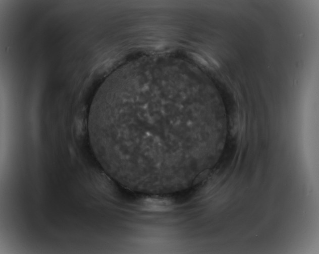 X0000086920515200704161405