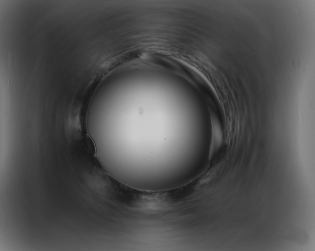 X0000086920516200704161405