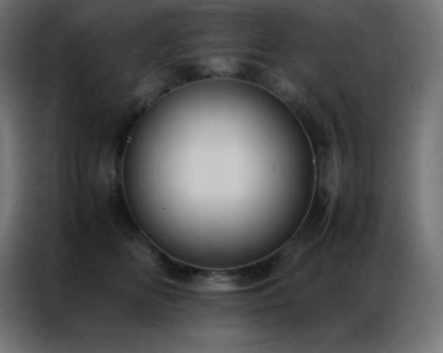 X0000086920518200704161405