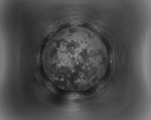 X0000086920519200704161405