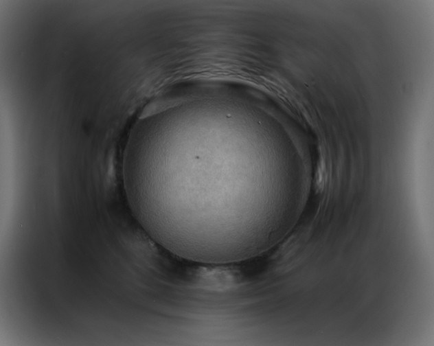 X0000086920520200704161405