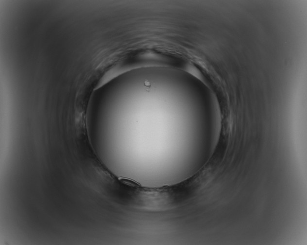 X0000086920521200704161405