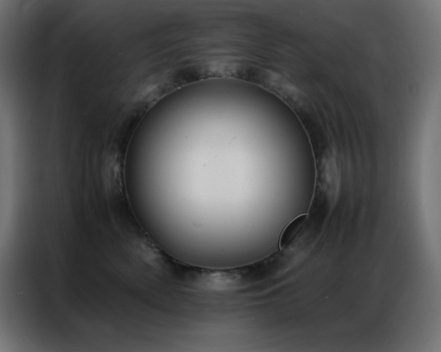 X0000086920522200704161405