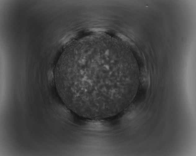 X0000086920523200704161405