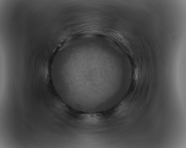 X0000086920524200704161405