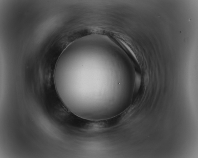 X0000086920525200704161405