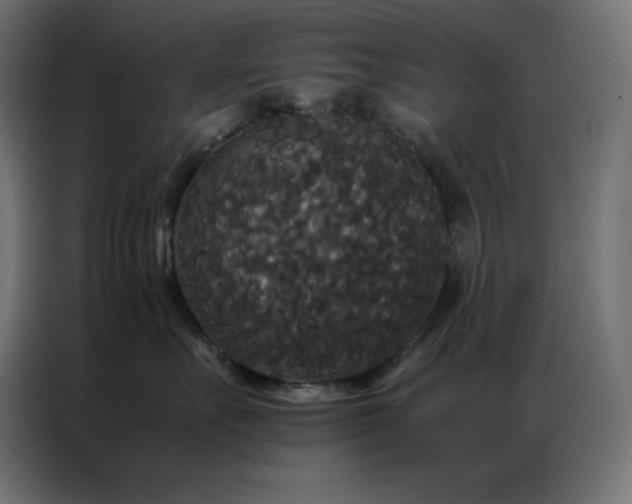 X0000086920527200704161405