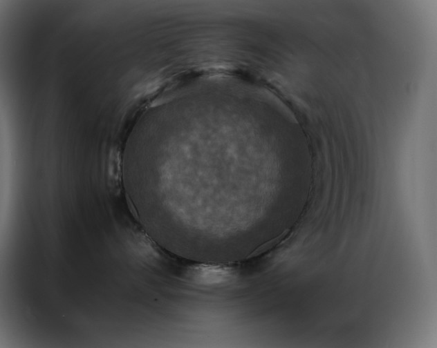 X0000086920528200704161405