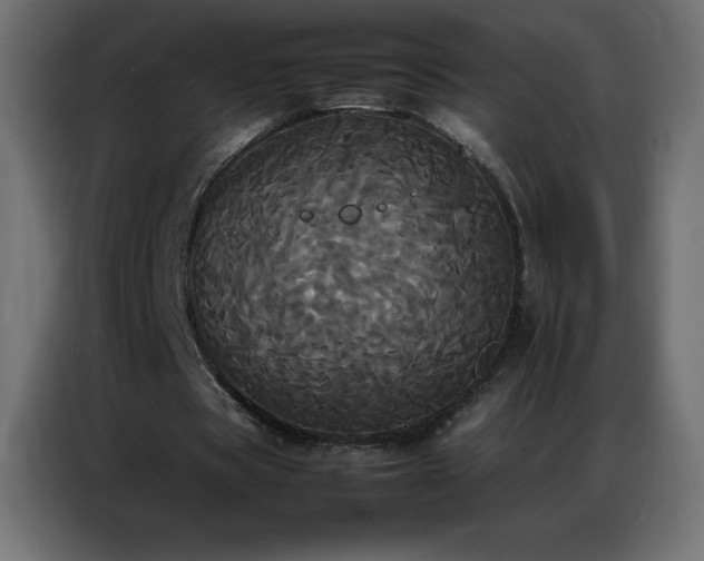 X0000086920529200704161405