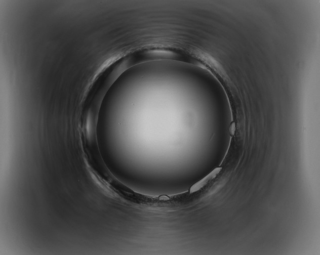 X0000086920530200704161405