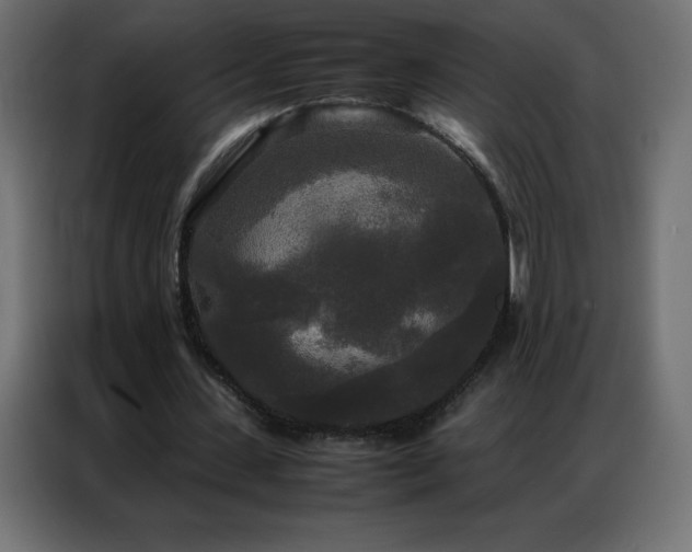 X0000086920531200704161405