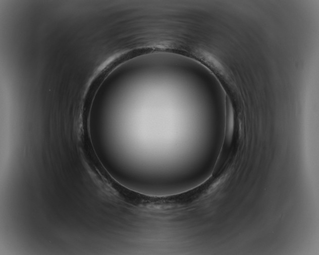 X0000086920532200704161405