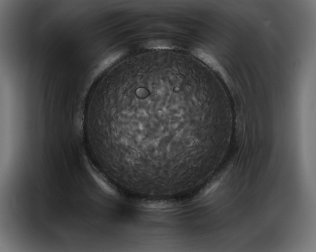 X0000086920533200704161405
