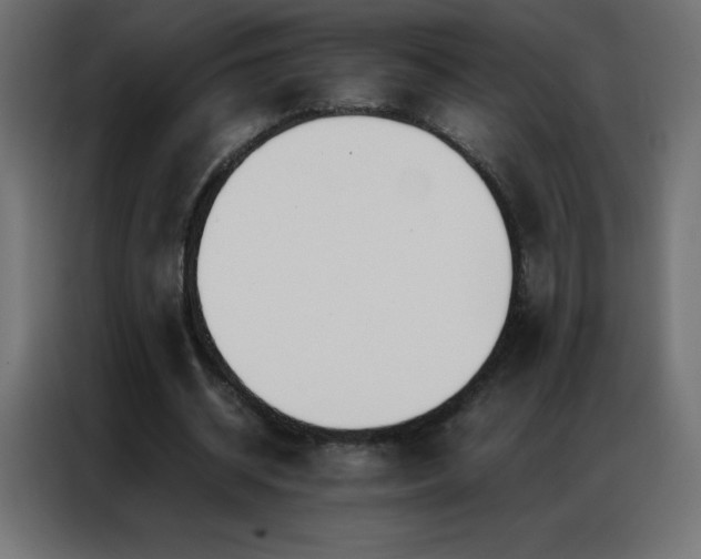 X0000086920534200704161405