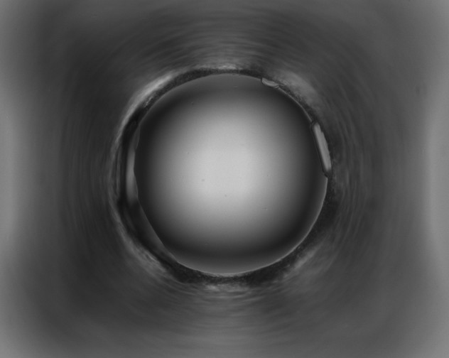 X0000086920536200704161405