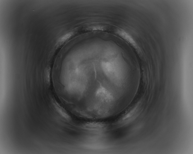 X0000086920537200704161405