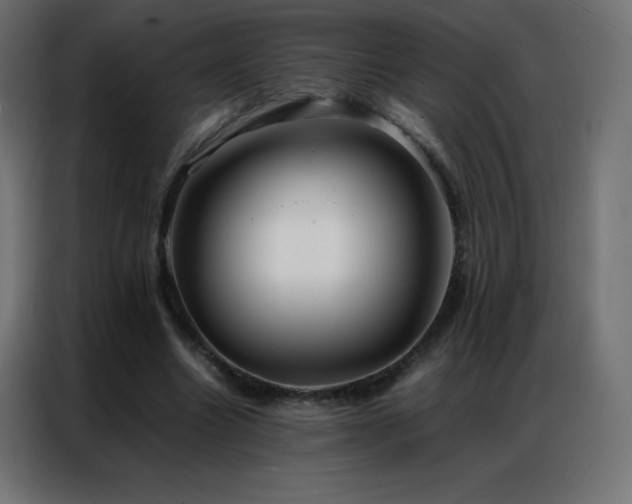 X0000086920538200704161405
