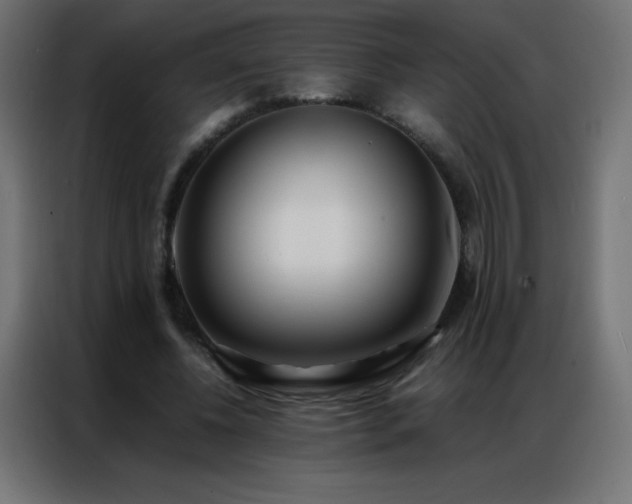 X0000086920540200704161405