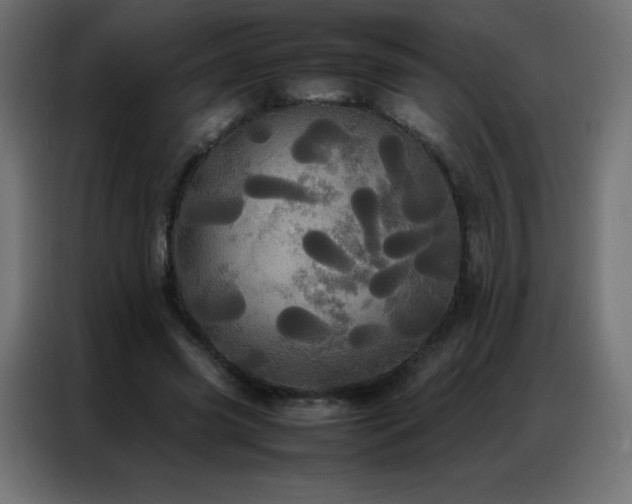 X0000086920541200704161405
