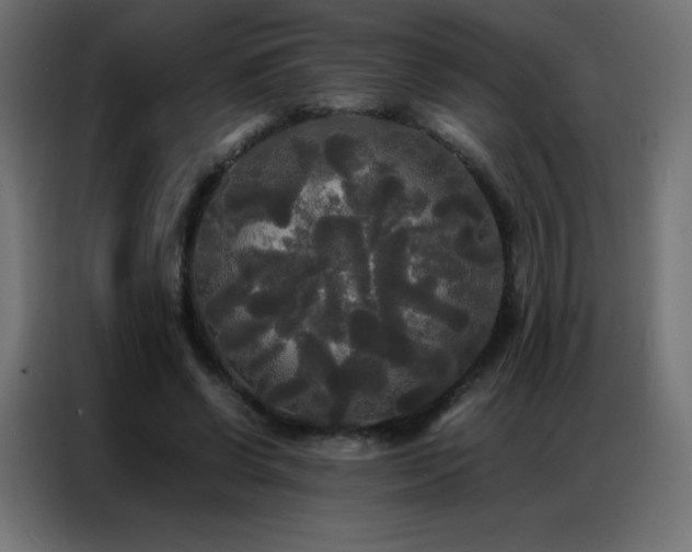 X0000086920542200704161405