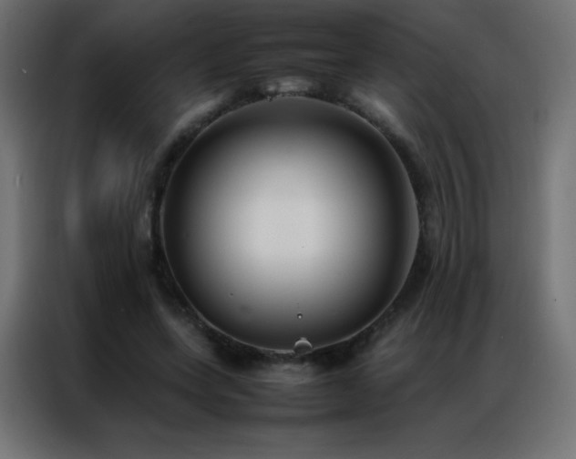 X0000086920543200704161405