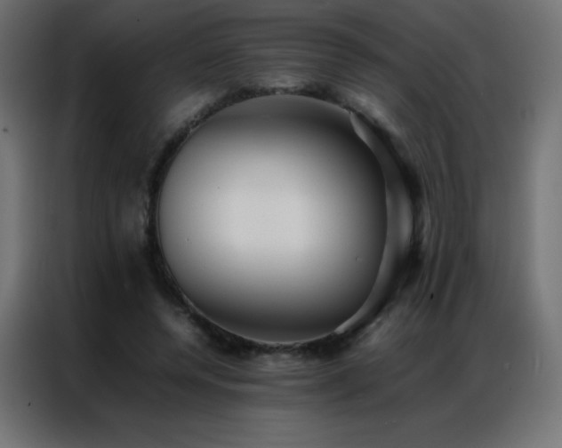 X0000086920544200704161405