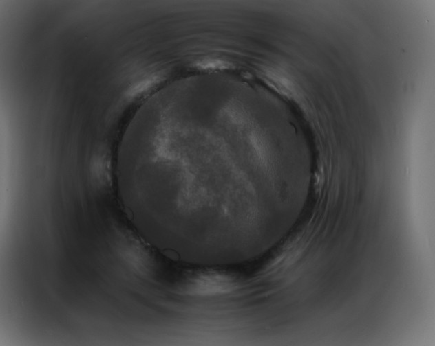 X0000086920547200704161405
