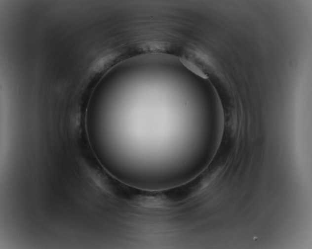 X0000086920548200704161405