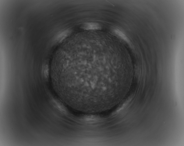 X0000086920549200704161405
