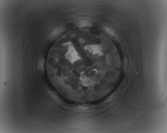 X0000086920550200704161405