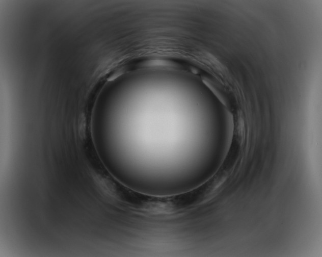 X0000086920552200704161405