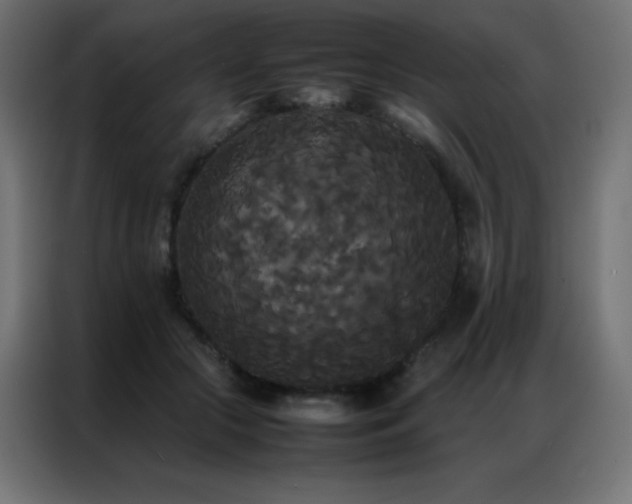X0000086920553200704161405