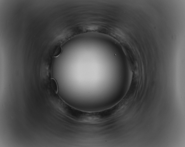 X0000086920555200704161405