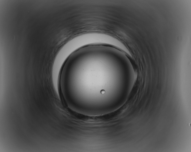 X0000086920556200704161405