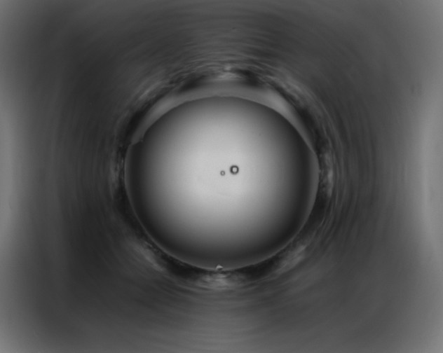 X0000086920558200704161405