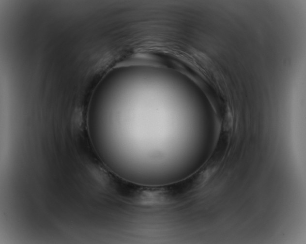X0000086920560200704161405