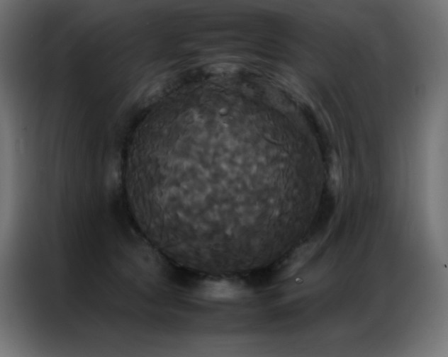 X0000086920561200704161405