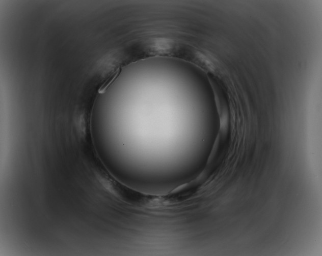 X0000086920562200704161405