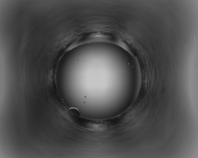 X0000086920563200704161405