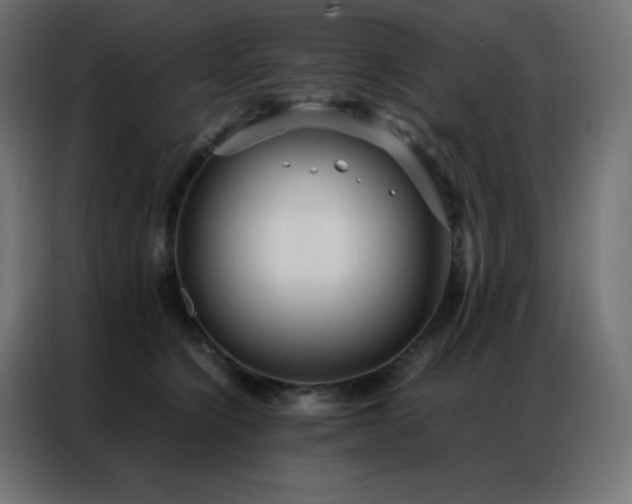 X0000086920564200704161405