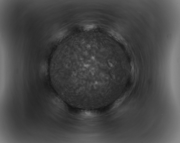 X0000086920565200704161405