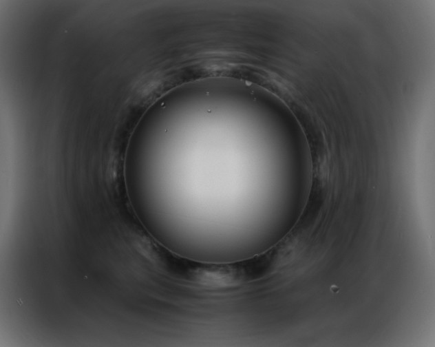 X0000086920567200704161405